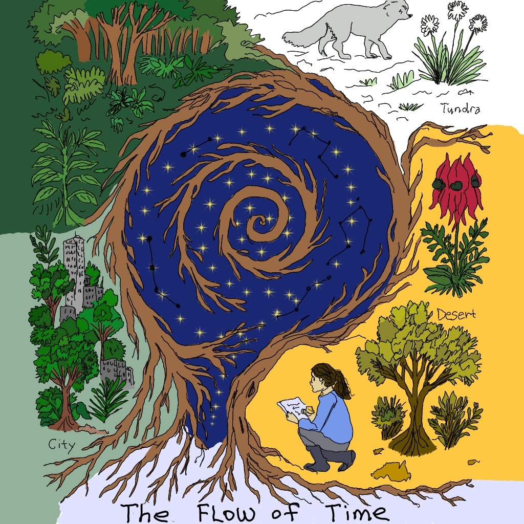 Zara and the Timekeeper Tree Book Series