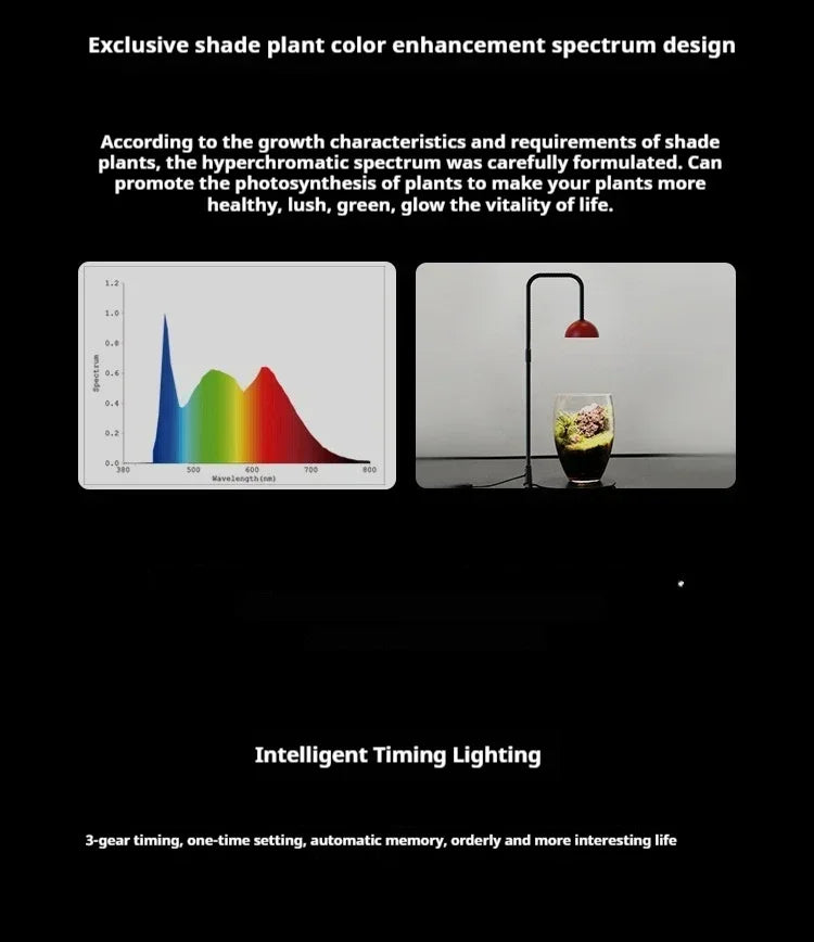LED Grow Light for Terrarium — Full Spectrum Plant Lamp with Timer for Indoor Plants & Moss