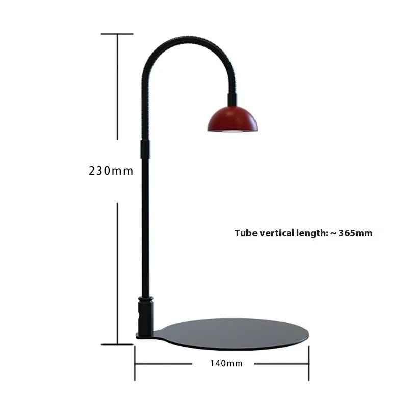 LED Grow Light for Terrarium — Full Spectrum Plant Lamp with Timer for Indoor Plants & Moss