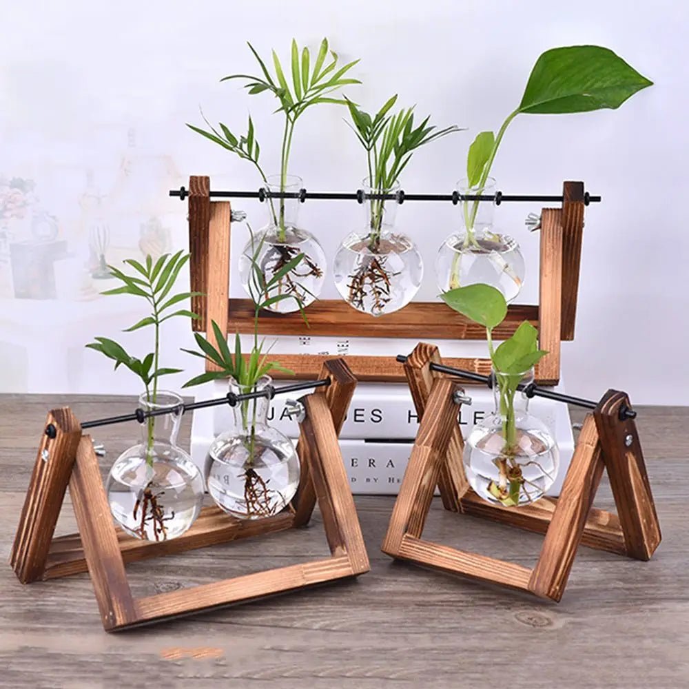 Wooden Frame Glass Vase Terrarium — Vintage Hydroponic Plant Stand for Home & Office