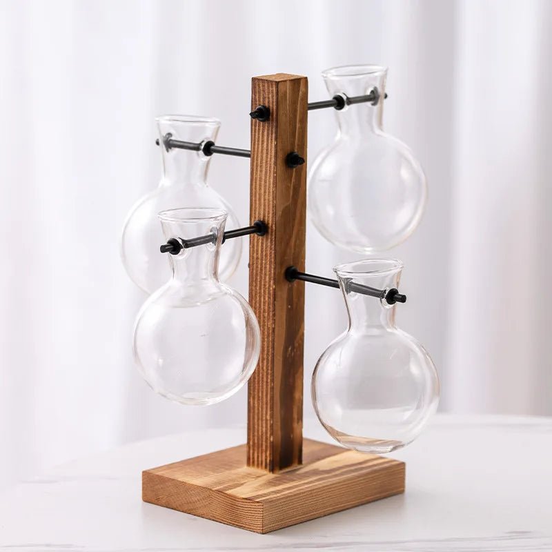 Hydroponic Glass Bulb Terrarium with Wooden Stand — Retro Air Plant Holder for Home & Office