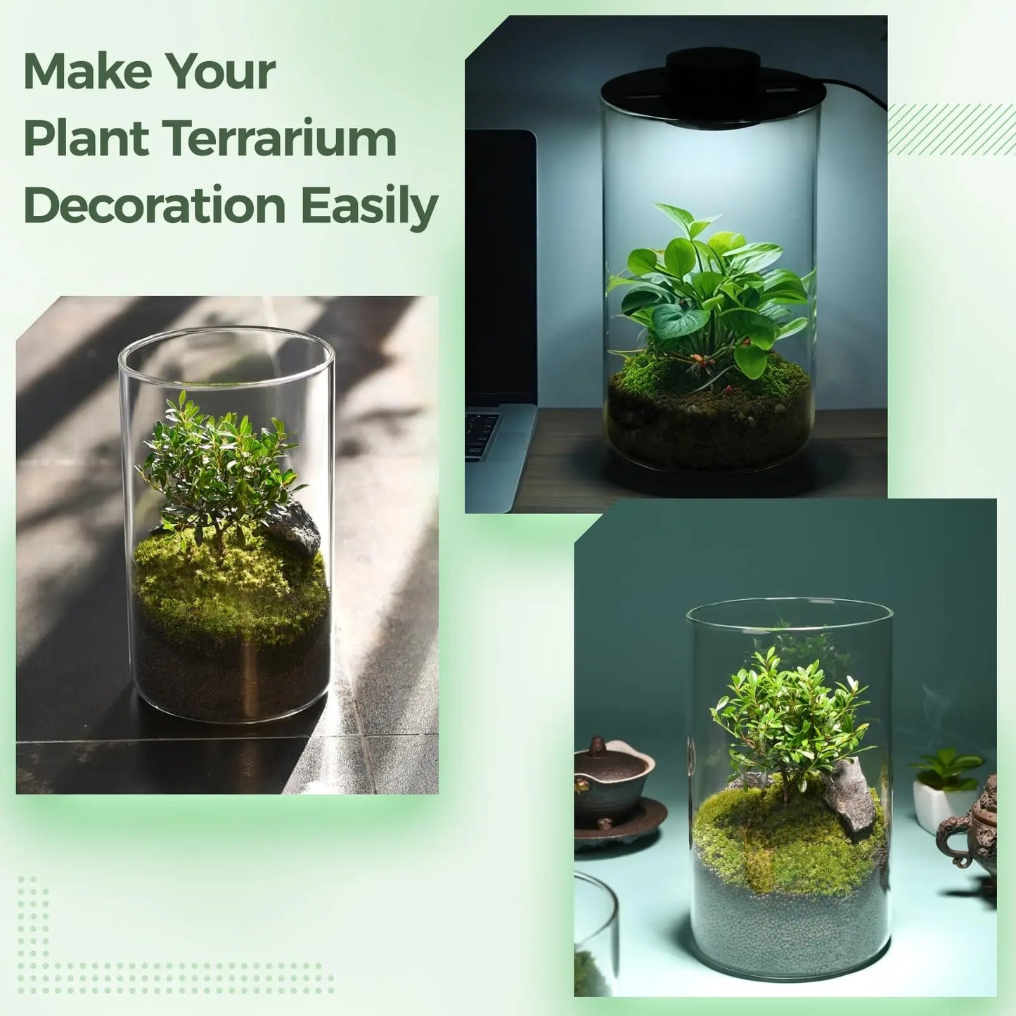 Borosilicate Glass Terrarium with LED Grow Light — Succulent Planter & Mini Aquarium