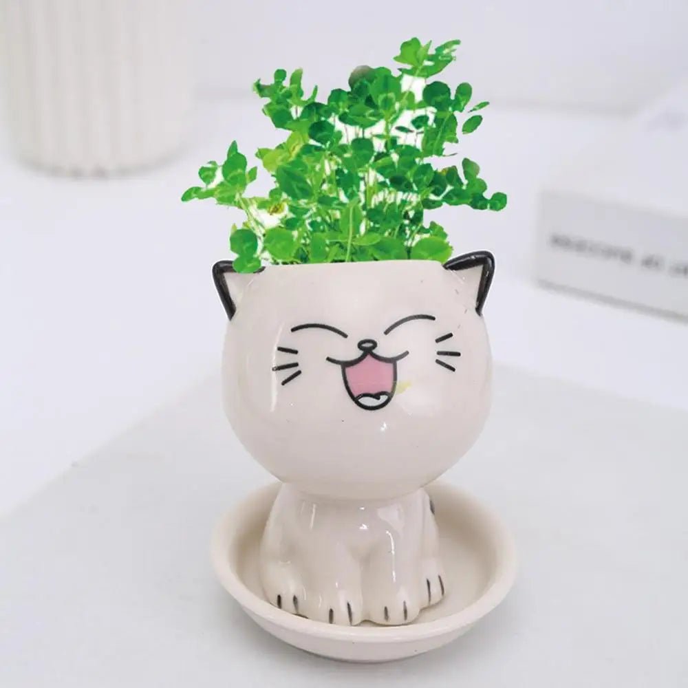 Cartoon Cat Ceramic Planter — Mini Tabletop Pot for Succulents & Cacti