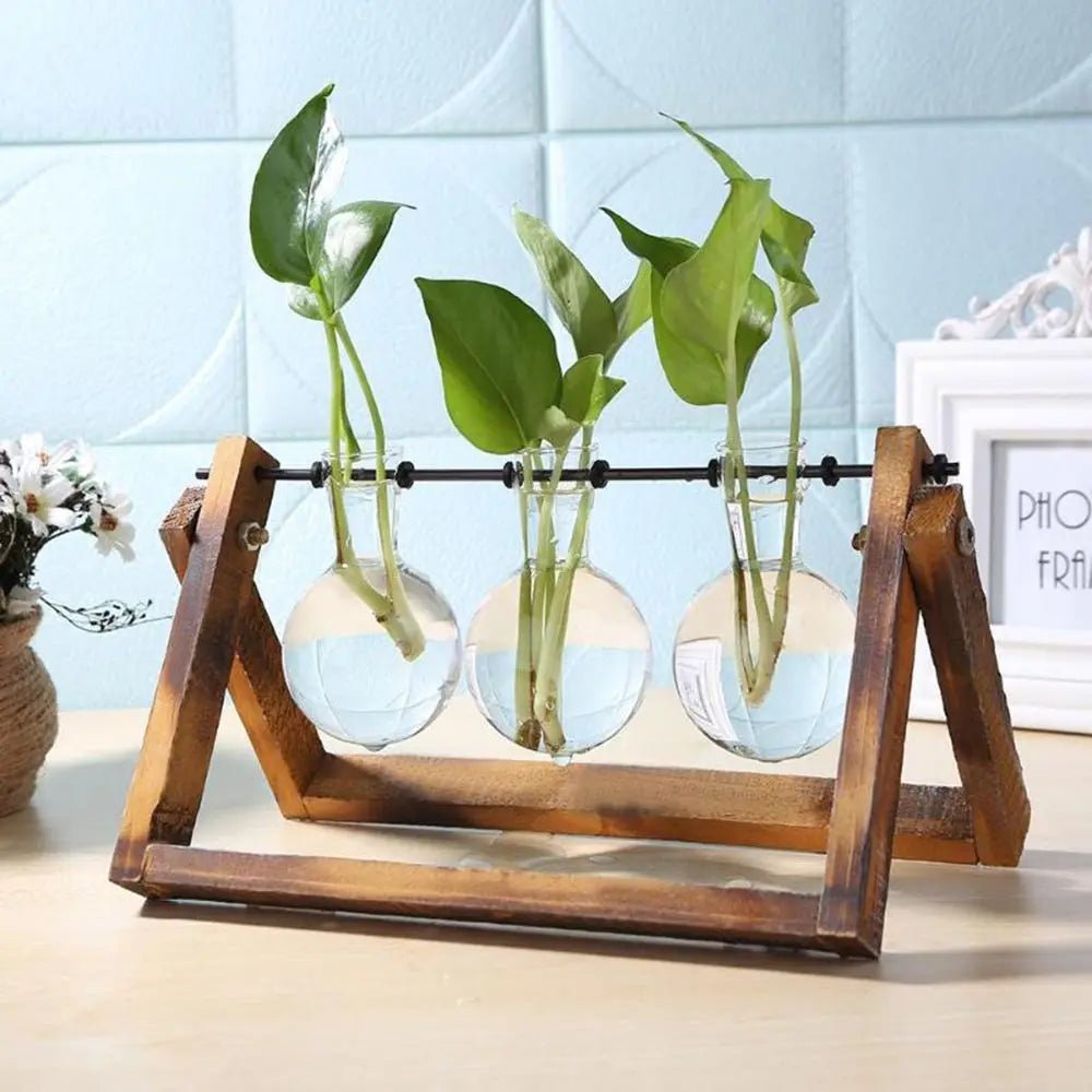 Wooden Frame Glass Vase Terrarium — Vintage Hydroponic Plant Stand for Home & Office