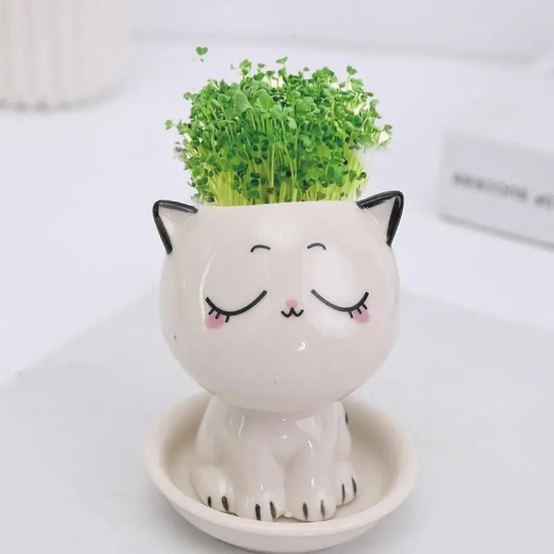 Cartoon Cat Ceramic Planter — Mini Tabletop Pot for Succulents & Cacti