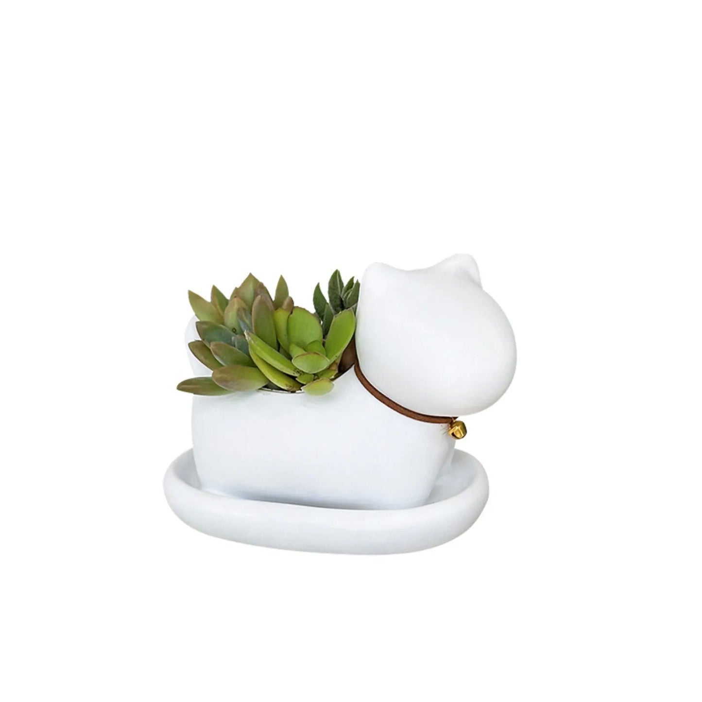 Cute Cat Ceramic Planter — Desktop Succulent Pot for Home Décor