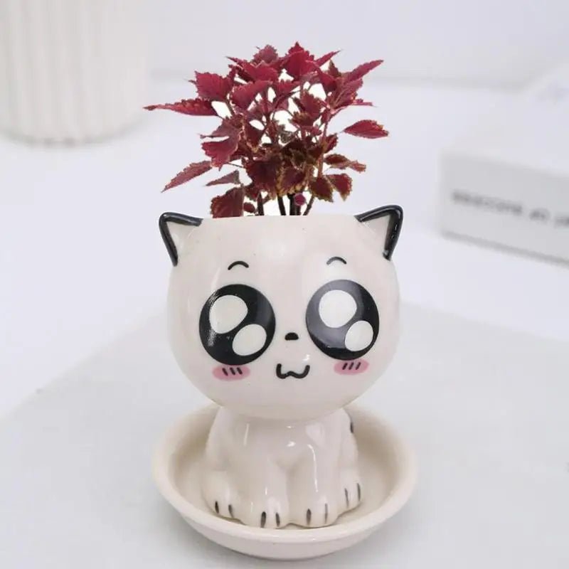 Cartoon Cat Ceramic Planter — Mini Tabletop Pot for Succulents & Cacti