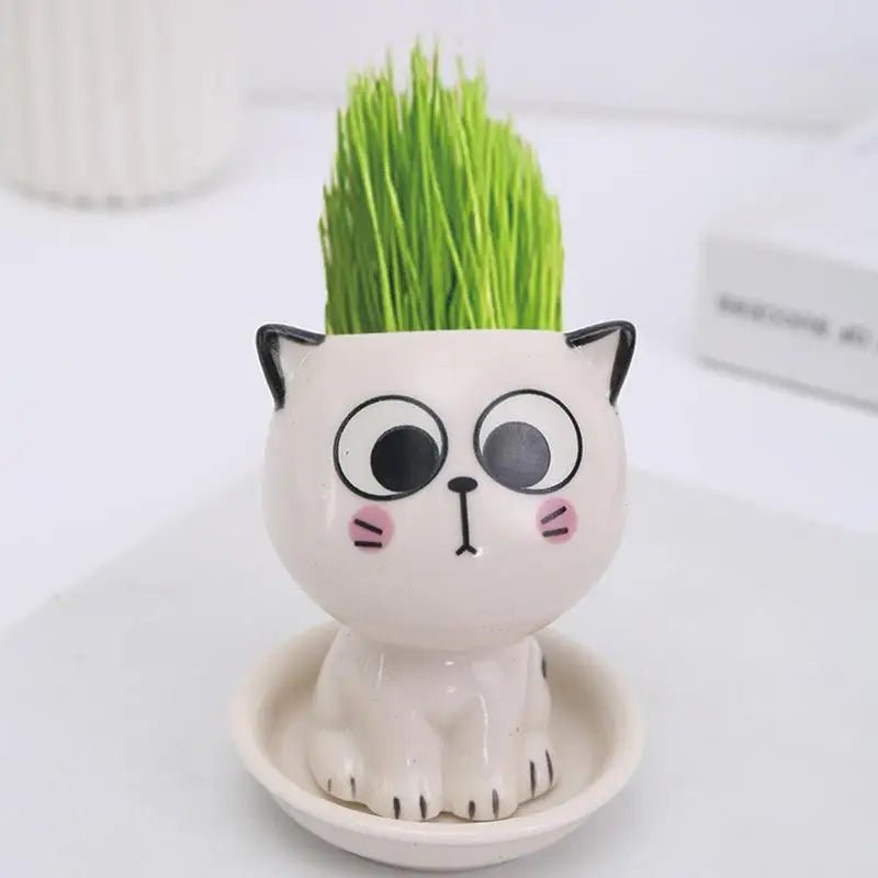 Cartoon Cat Ceramic Planter — Mini Tabletop Pot for Succulents & Cacti