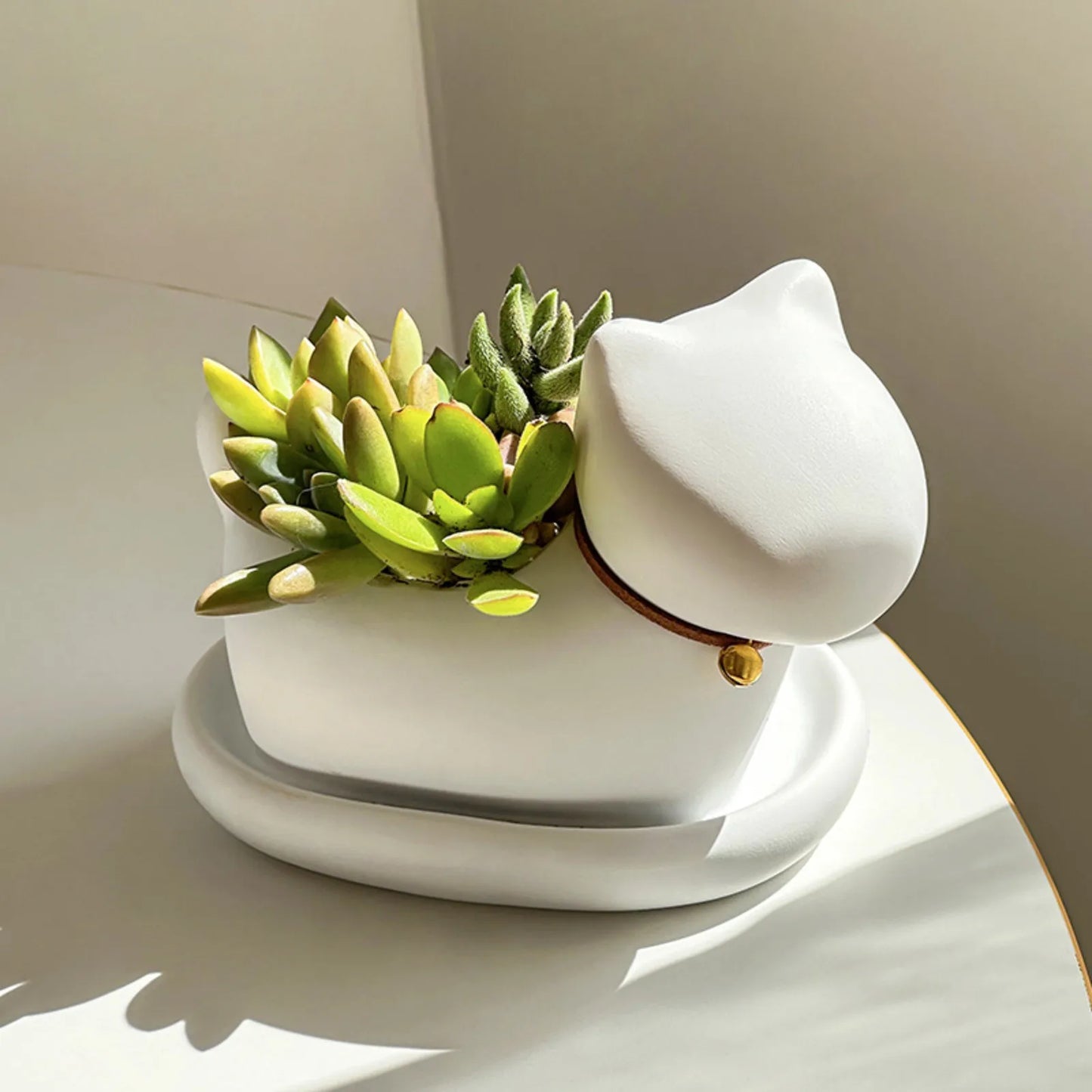 Cute Cat Ceramic Planter — Desktop Succulent Pot for Home Décor