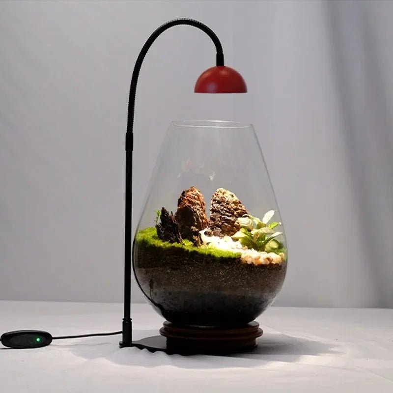 LED Grow Light for Terrarium — Full Spectrum Plant Lamp with Timer for Indoor Plants & Moss
