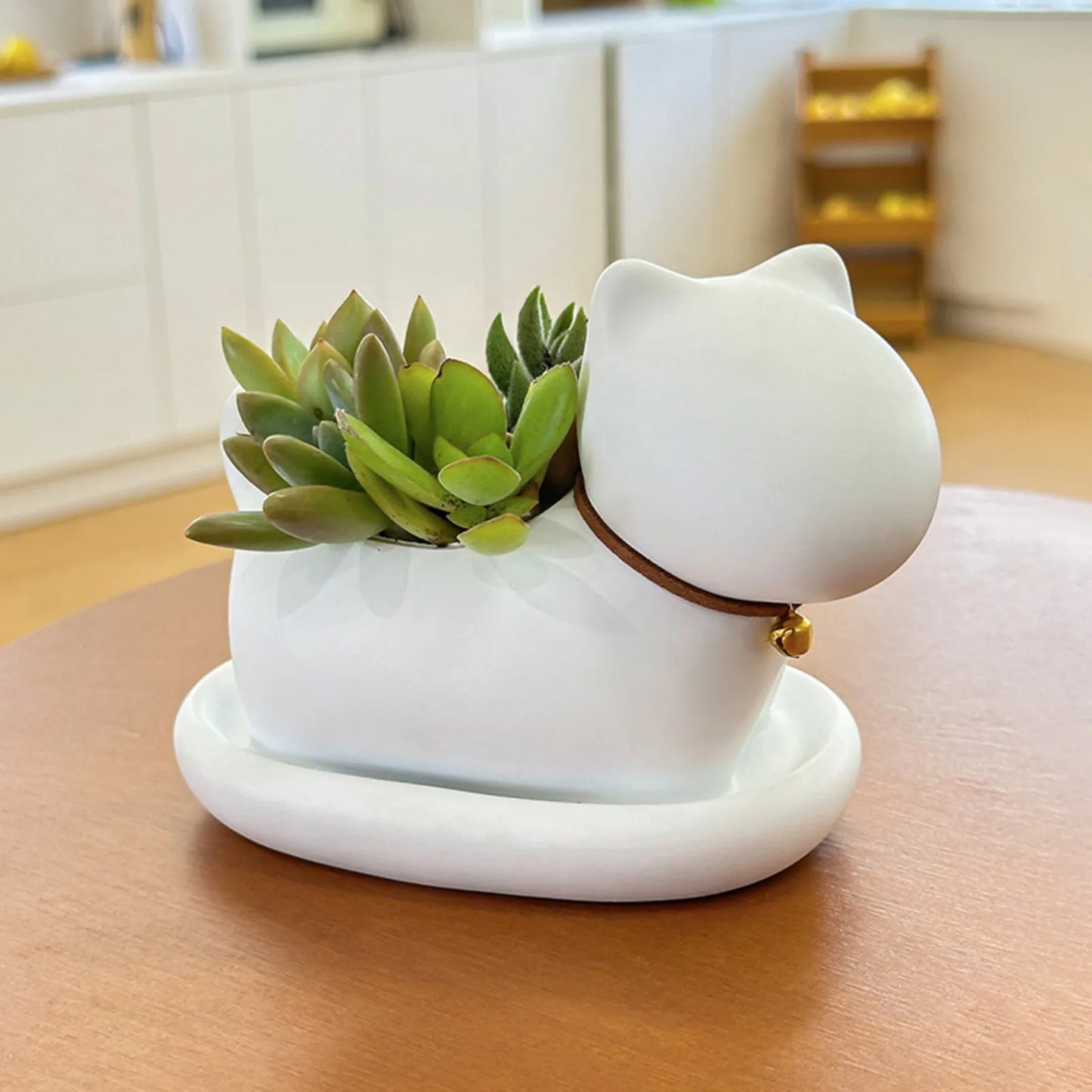 Cute Cat Ceramic Planter — Desktop Succulent Pot for Home Décor