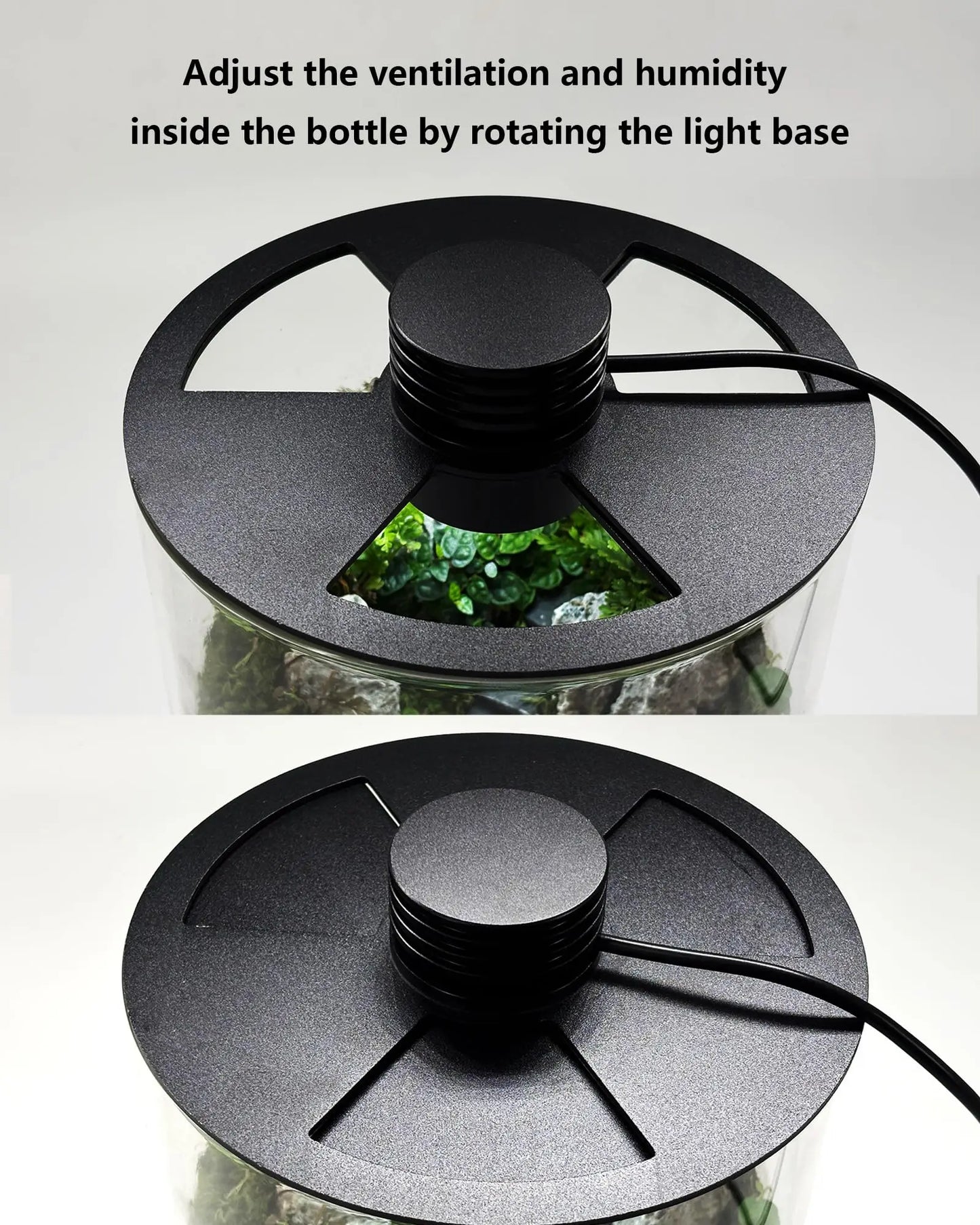 Borosilicate Glass Terrarium with LED Grow Light — Succulent Planter & Mini Aquarium