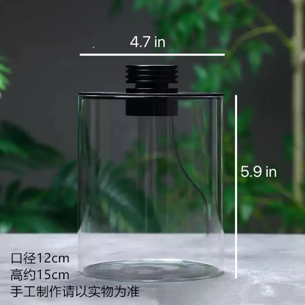 Borosilicate Glass Terrarium with LED Grow Light — Succulent Planter & Mini Aquarium