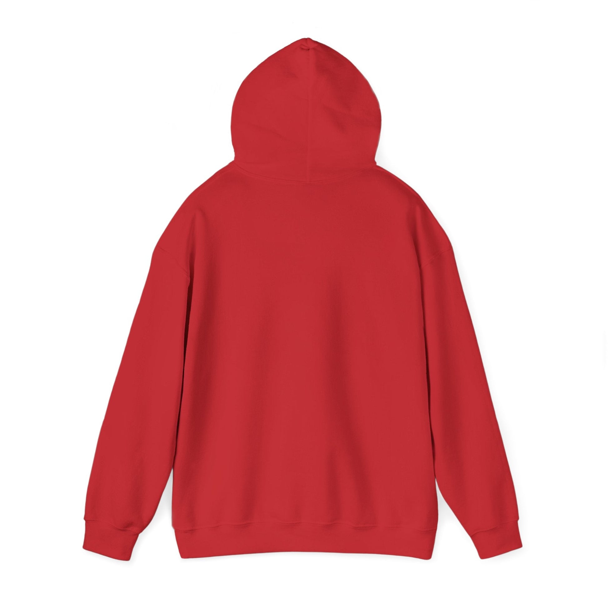 Hoodie — "It's Not a Quirk, It's a Feature" Tech Graphic Pullover - Atlas of Imaginary Worlds