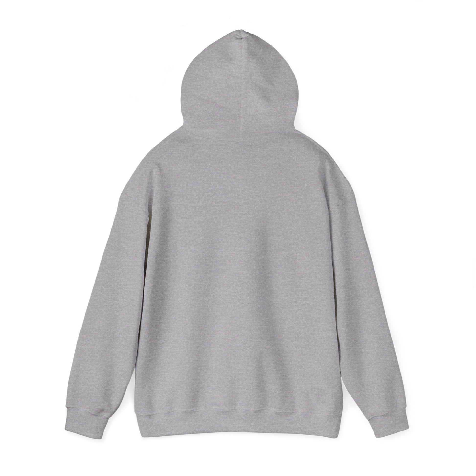Hoodie — "It's Not a Quirk, It's a Feature" Tech Graphic Pullover - Atlas of Imaginary Worlds