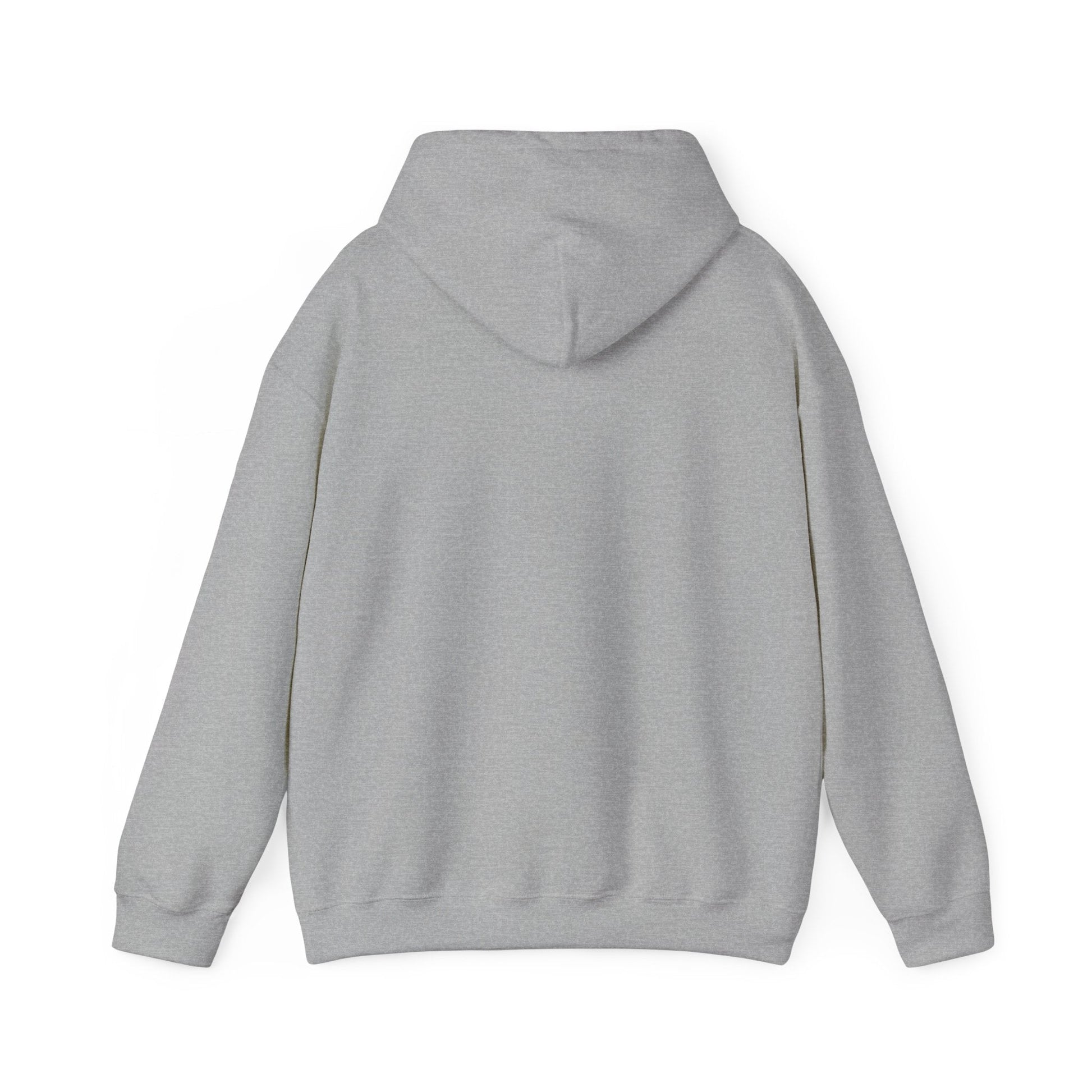 Hoodie — "It's Not a Quirk, It's a Feature" Tech Graphic Pullover - Atlas of Imaginary Worlds