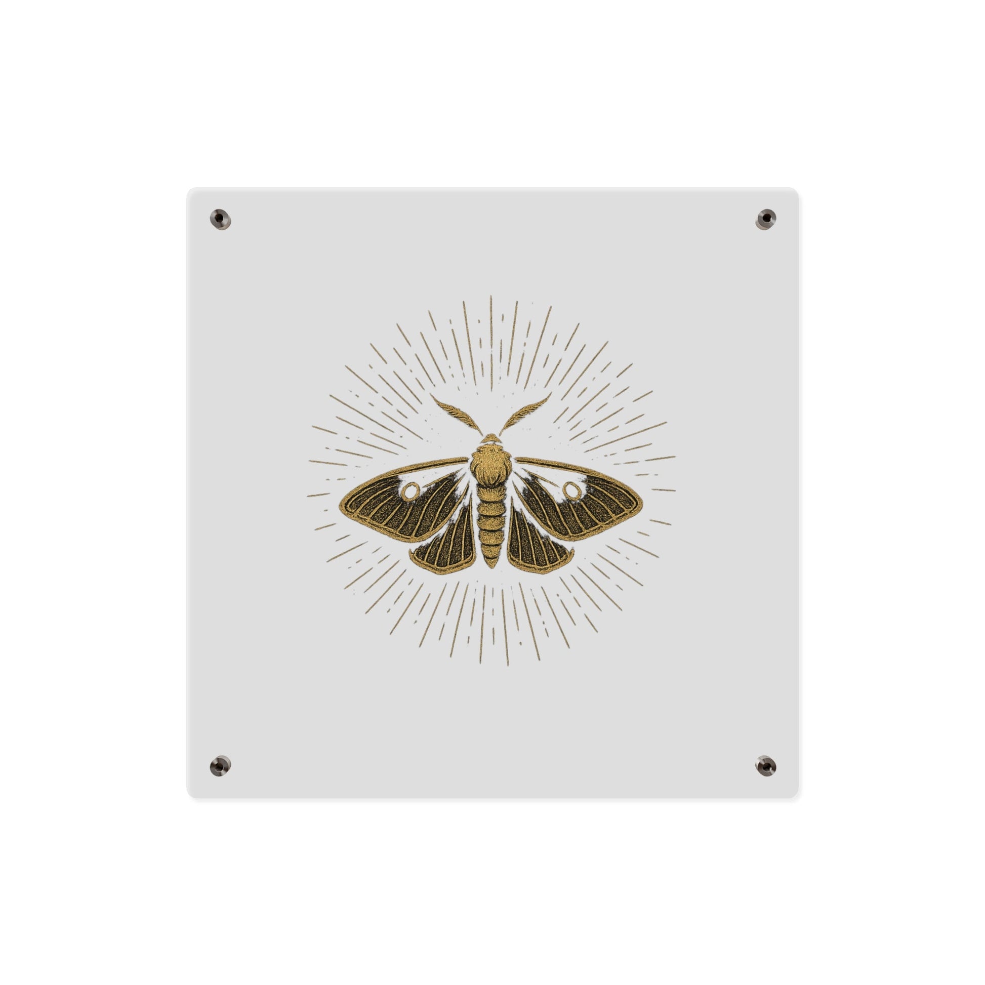 Lumen Gold Moth Acrylic Wall Art Panel — Minimalist Botanical - Inspired Home Décor - Atlas of Imaginary Worlds