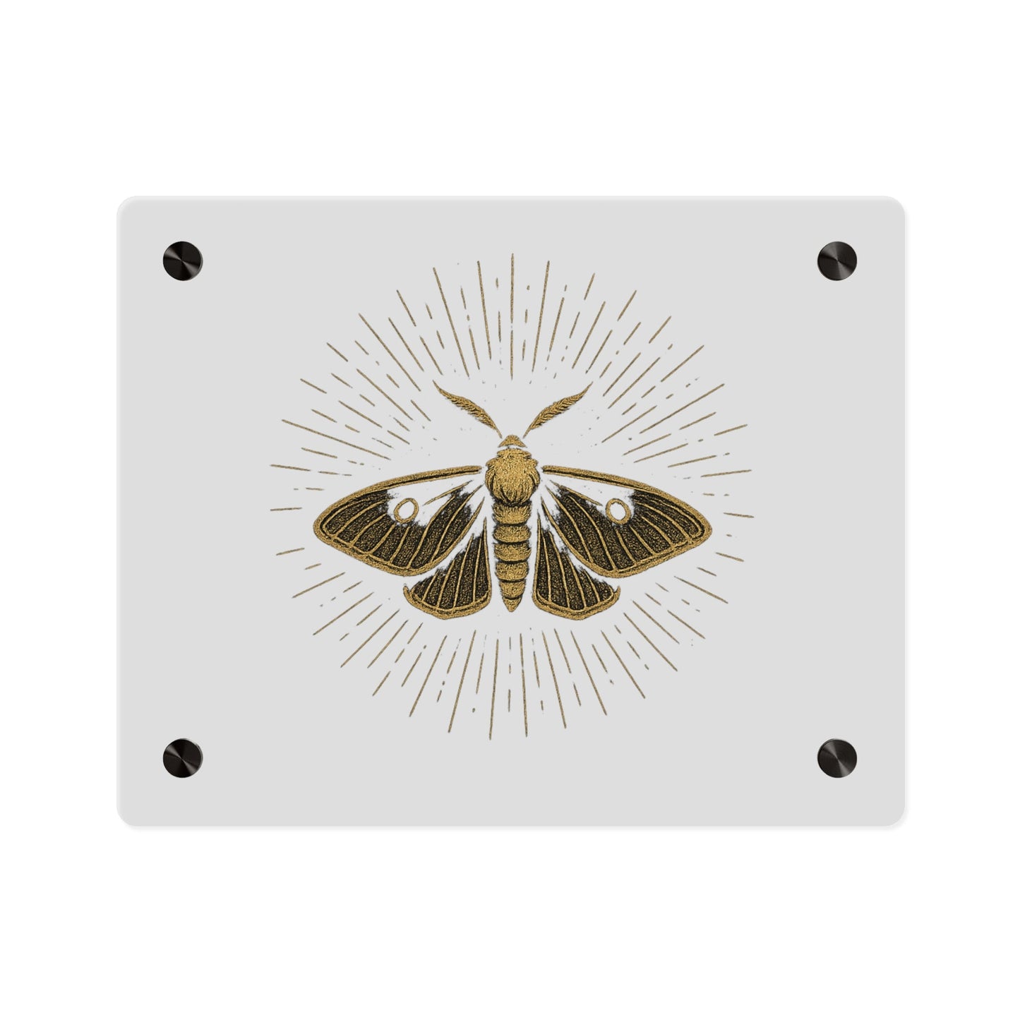 Lumen Gold Moth Acrylic Wall Art Panel — Minimalist Botanical - Inspired Home Décor - Atlas of Imaginary Worlds