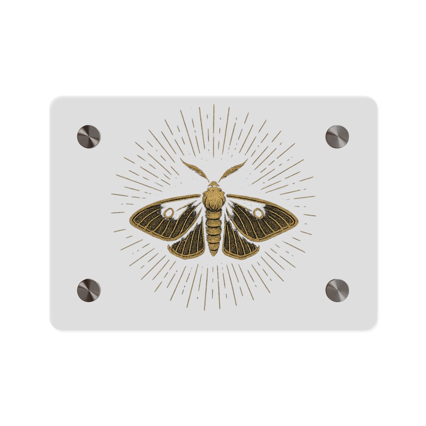 Lumen Gold Moth Acrylic Wall Art Panel — Minimalist Botanical - Inspired Home Décor - Atlas of Imaginary Worlds