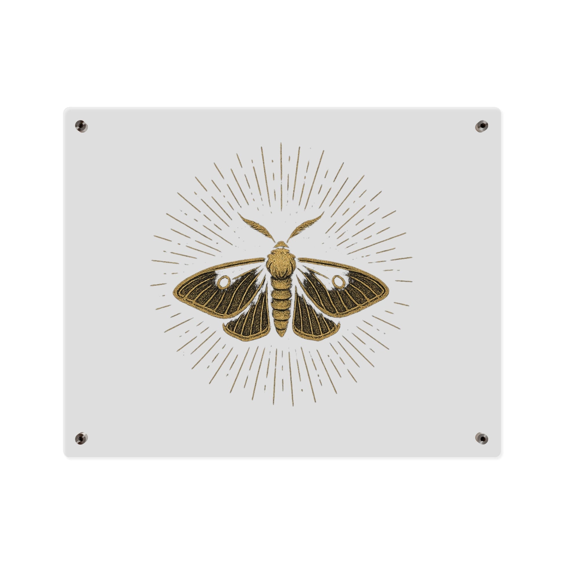 Lumen Gold Moth Acrylic Wall Art Panel — Minimalist Botanical - Inspired Home Décor - Atlas of Imaginary Worlds