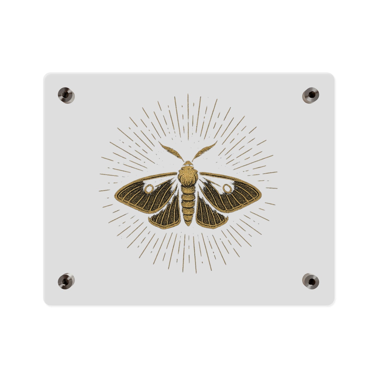 Lumen Gold Moth Acrylic Wall Art Panel — Minimalist Botanical - Inspired Home Décor - Atlas of Imaginary Worlds