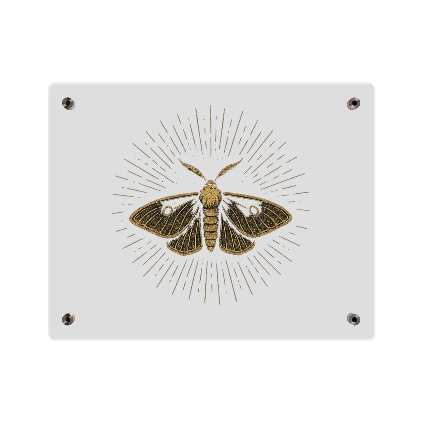 Lumen Gold Moth Acrylic Wall Art Panel — Minimalist Botanical - Inspired Home Décor - Atlas of Imaginary Worlds