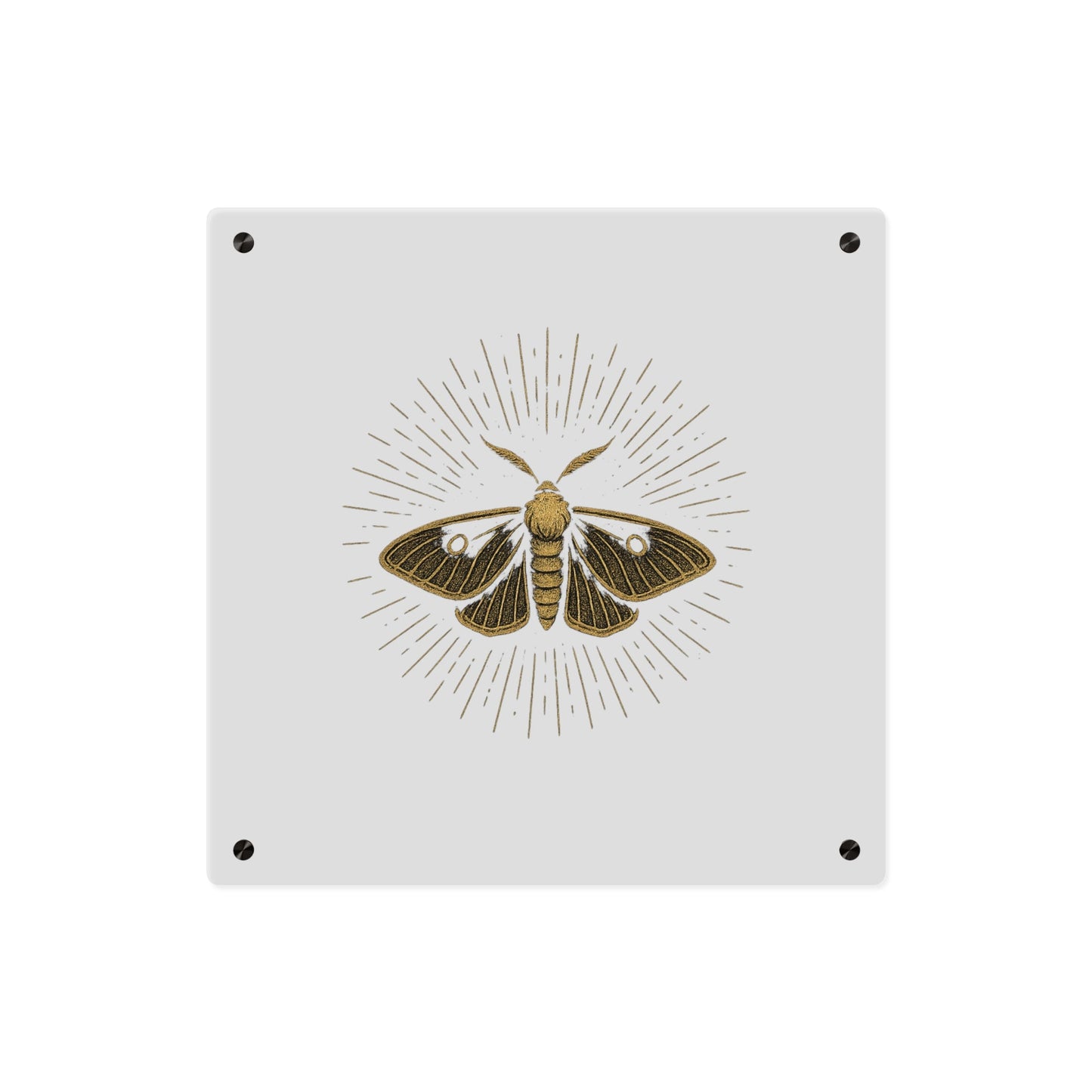 Lumen Gold Moth Acrylic Wall Art Panel — Minimalist Botanical - Inspired Home Décor - Atlas of Imaginary Worlds