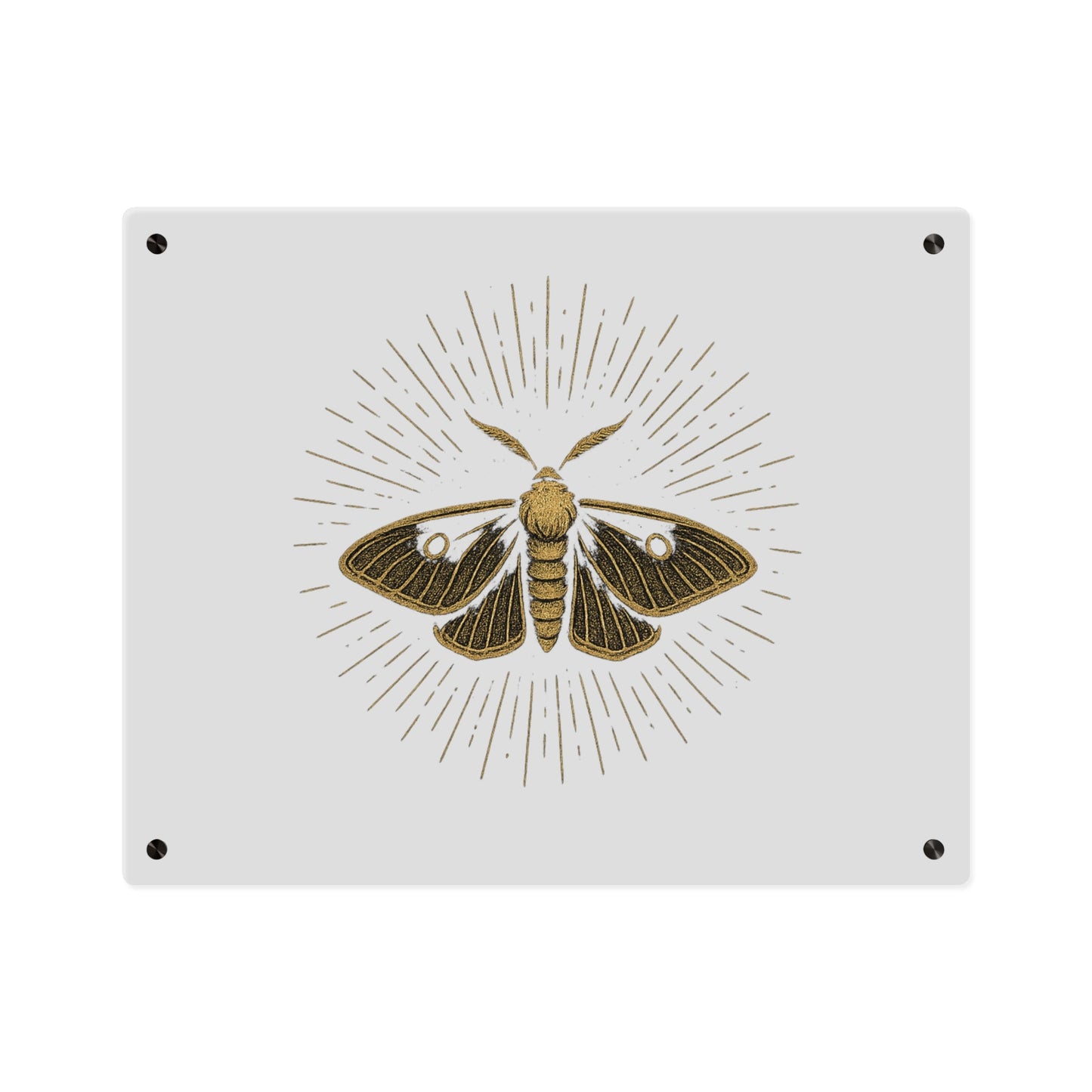 Lumen Gold Moth Acrylic Wall Art Panel — Minimalist Botanical - Inspired Home Décor - Atlas of Imaginary Worlds