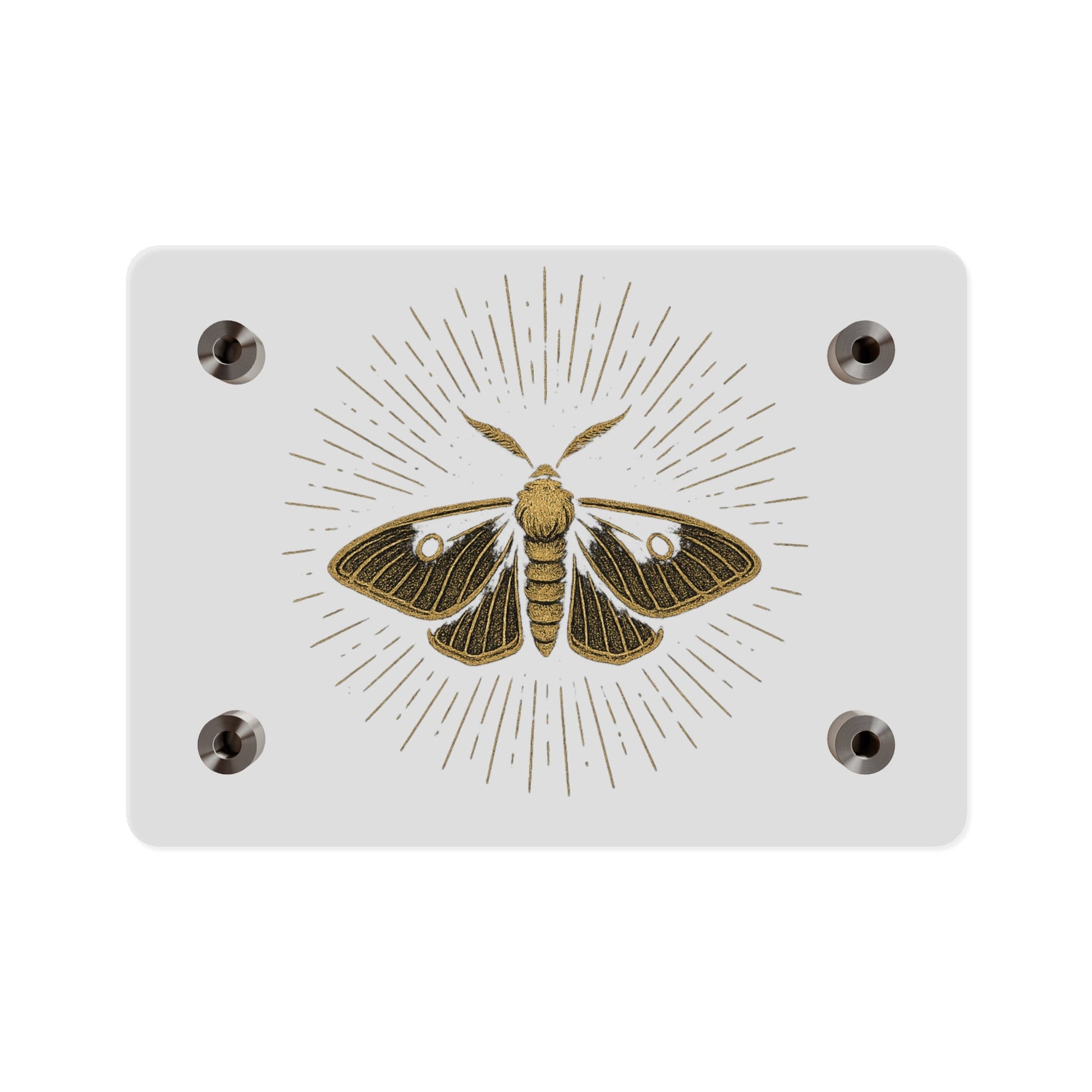 Lumen Gold Moth Acrylic Wall Art Panel — Minimalist Botanical - Inspired Home Décor - Atlas of Imaginary Worlds