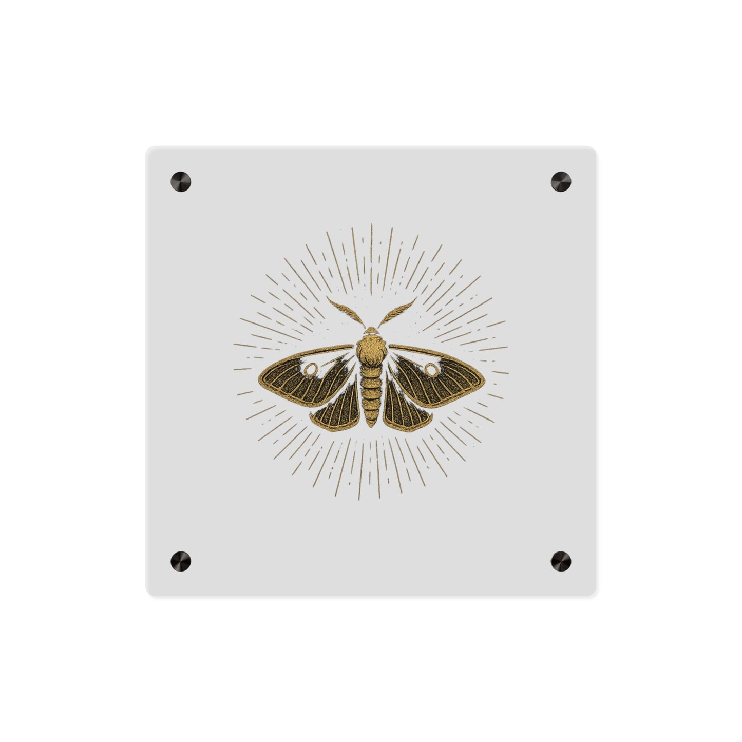 Lumen Gold Moth Acrylic Wall Art Panel — Minimalist Botanical - Inspired Home Décor - Atlas of Imaginary Worlds