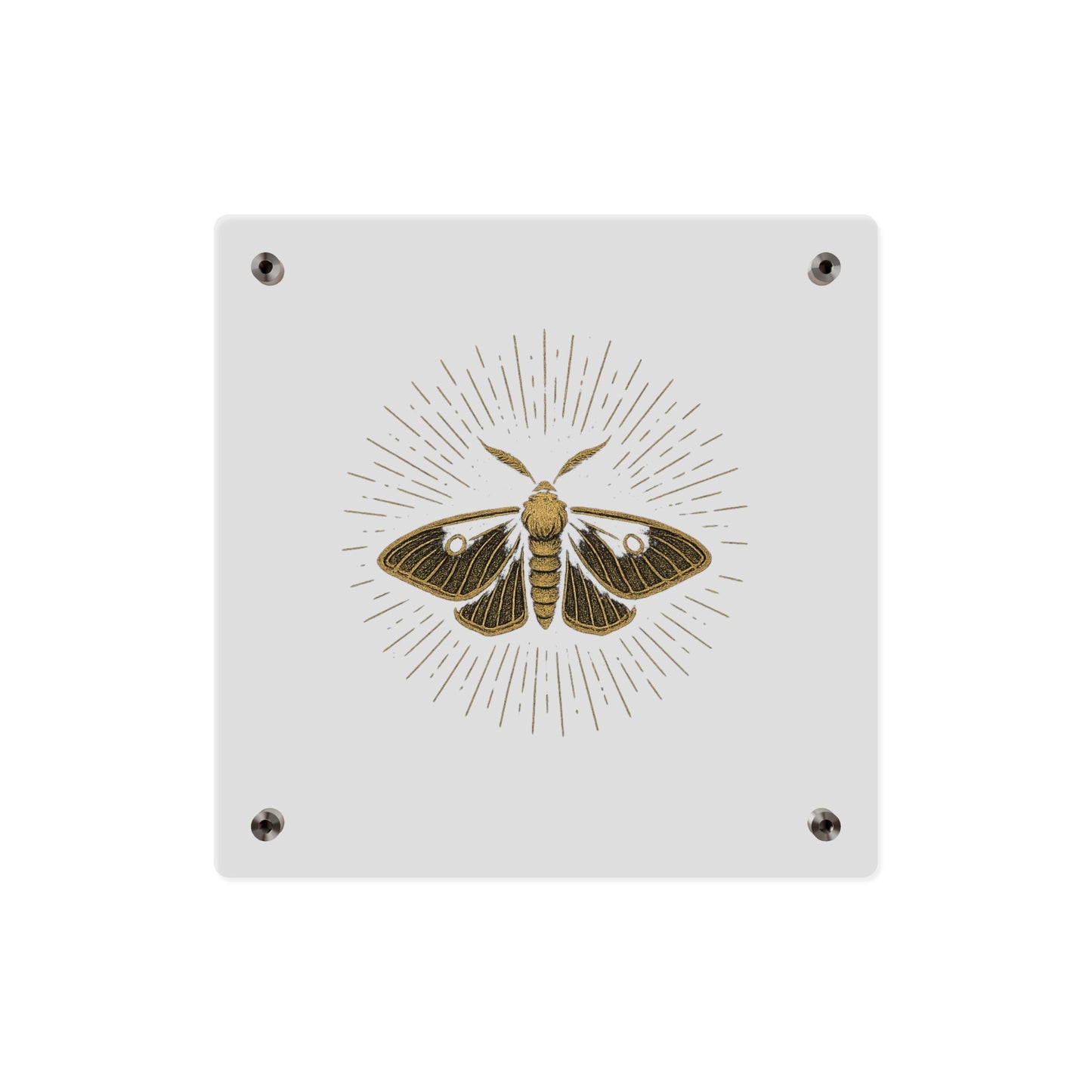 Lumen Gold Moth Acrylic Wall Art Panel — Minimalist Botanical - Inspired Home Décor - Atlas of Imaginary Worlds