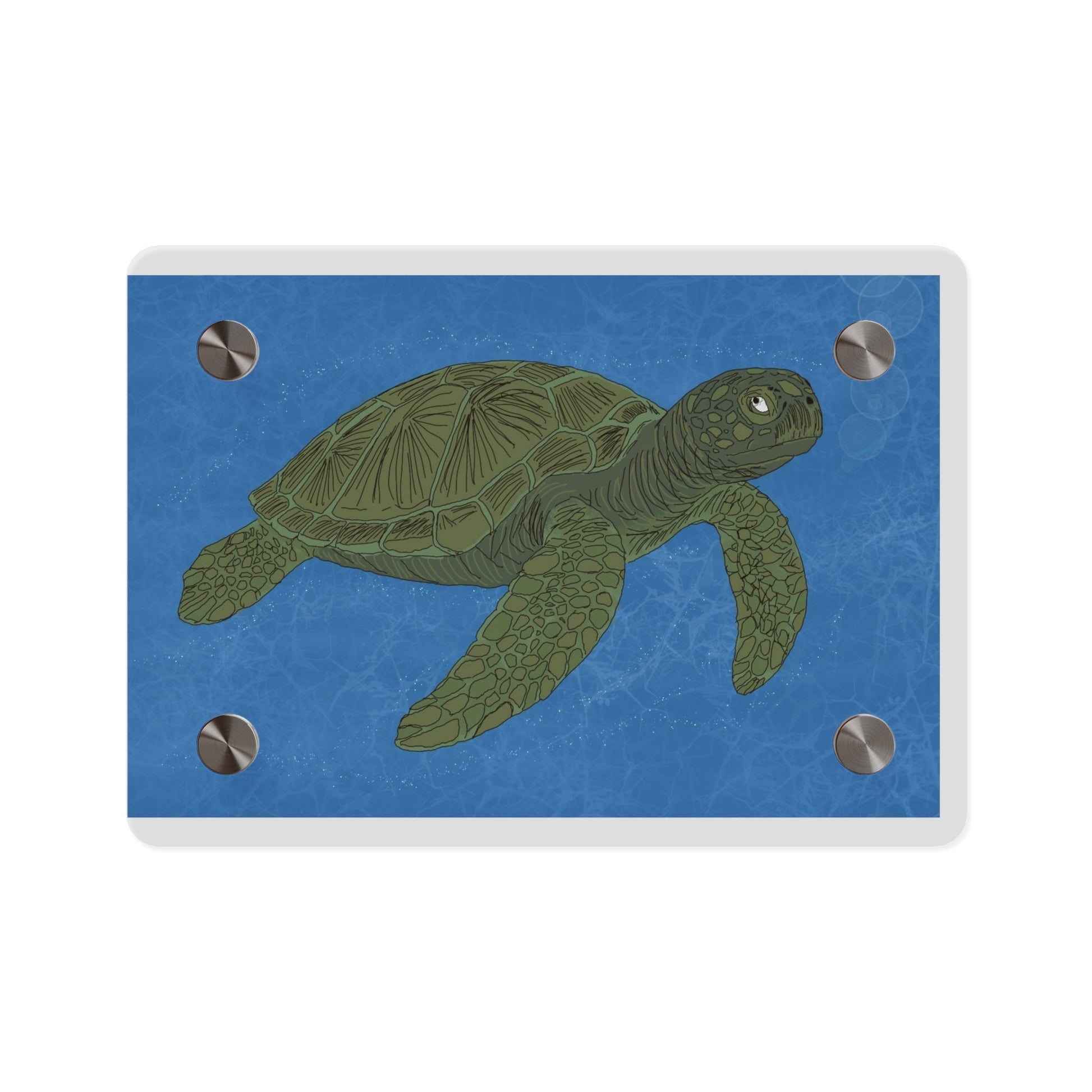 Sea Turtle Acrylic Wall Art Panel – Coastal Ocean Decor - Atlas of Imaginary Worlds