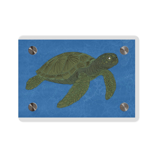 Sea Turtle Acrylic Wall Art Panel – Coastal Ocean Decor - Atlas of Imaginary Worlds