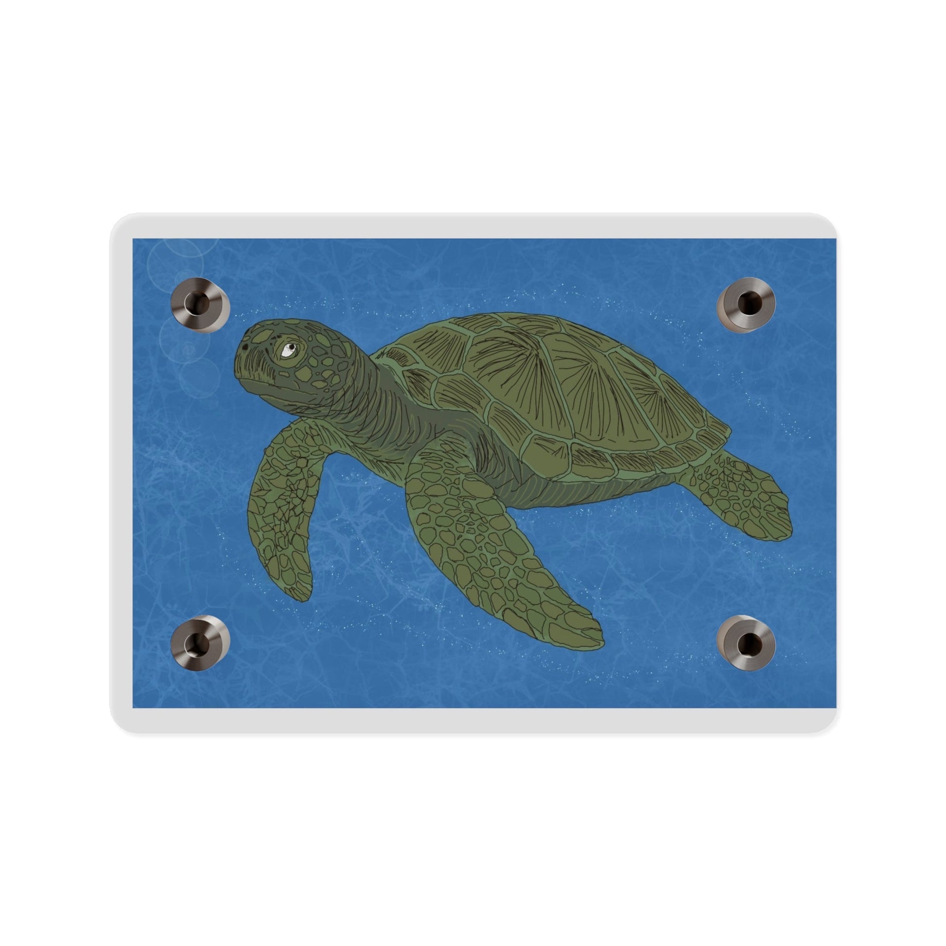 Sea Turtle Acrylic Wall Art Panel – Coastal Ocean Decor - Atlas of Imaginary Worlds