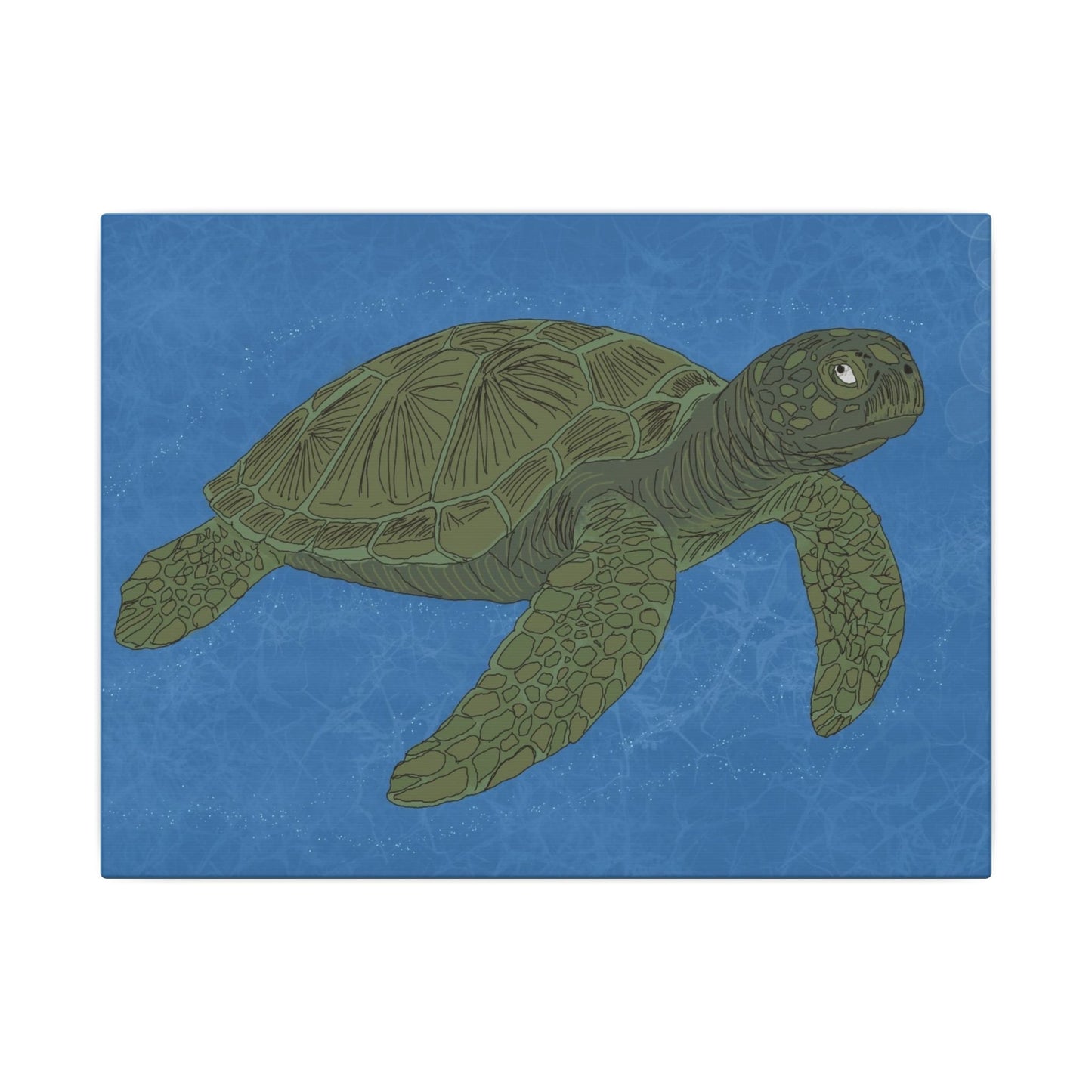 Sea Turtle Wall Art Canvas — Green Turtle Ocean Print - Atlas of Imaginary Worlds