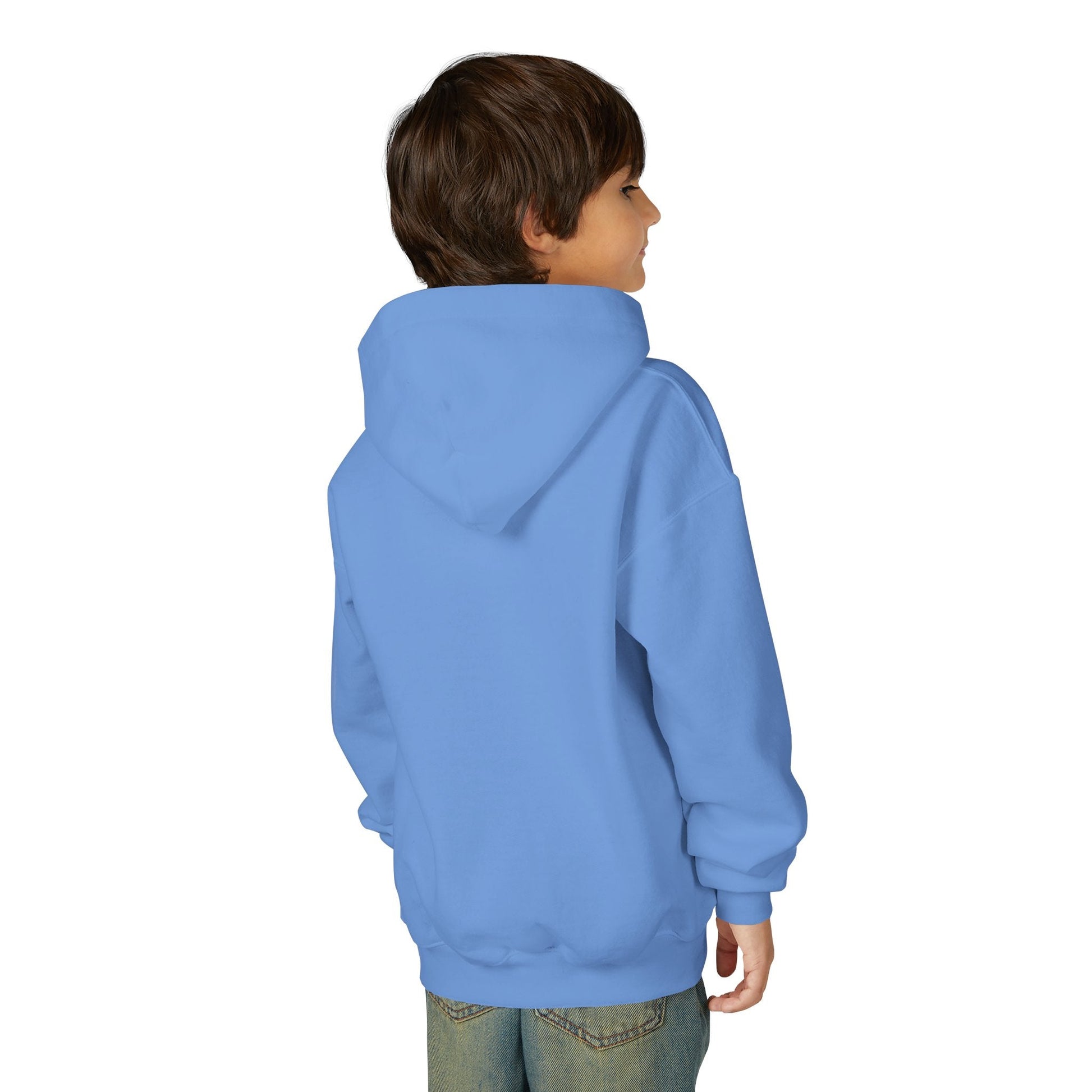 Youth Turtle Hoodie — Hand - Drawn Sea Turtle Graphic Kids Sweatshirt - Atlas of Imaginary Worlds